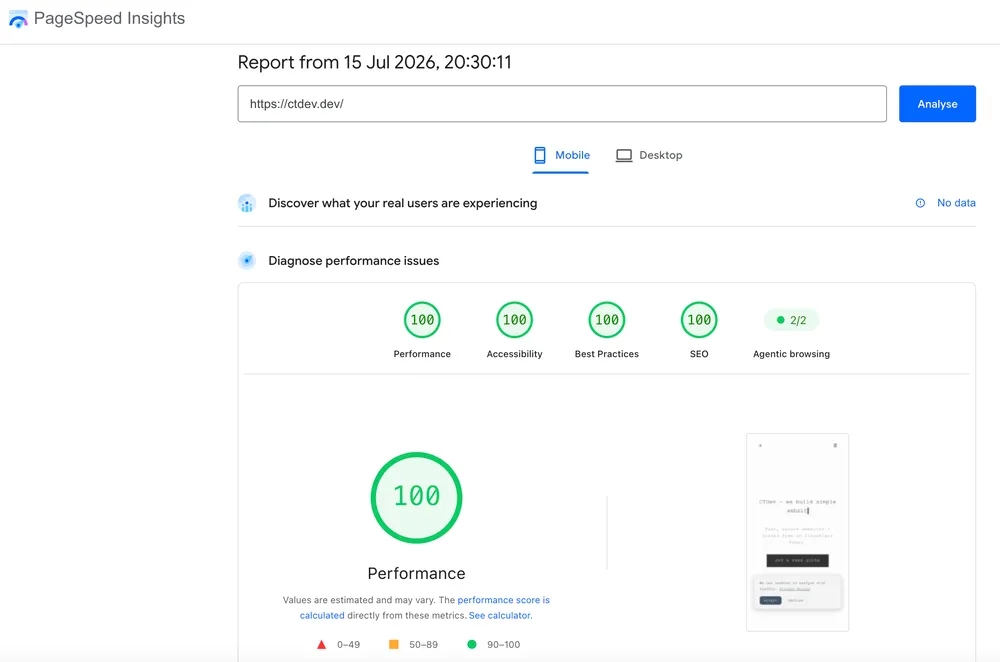 PageSpeed Insights Mobile Test